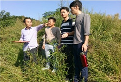 山东河南贵州弟子参加杨公风水培训班学习心得体会