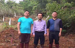 结婚八年终于有了小孩